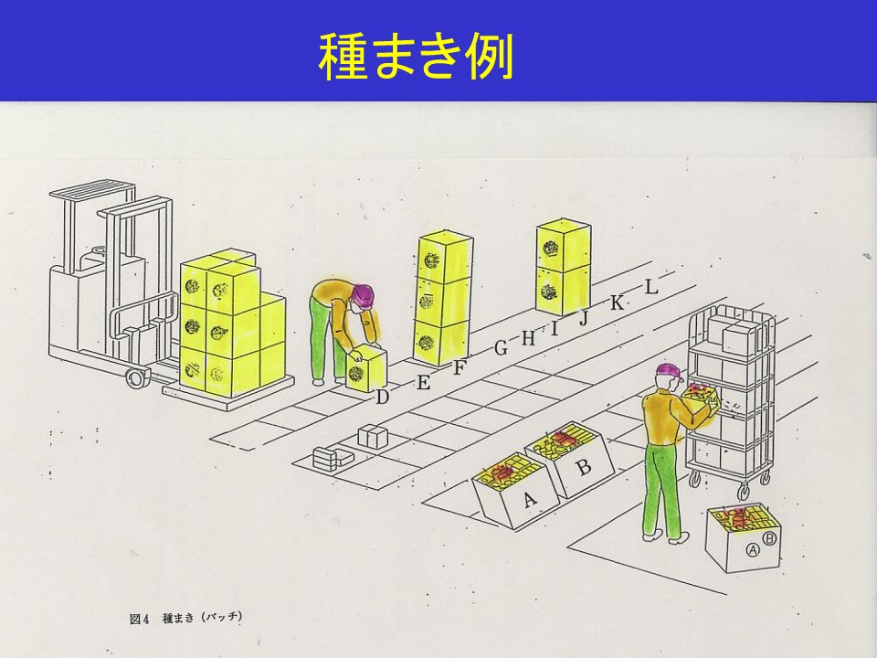 種まき例と物流改善